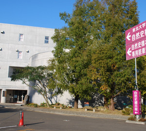 東北大学理学博物館
