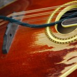 こんのひとみ３１６５７５３５６_3909148981