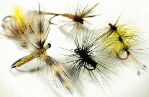 e3818ae6898be69cace38395e383a9e382a4