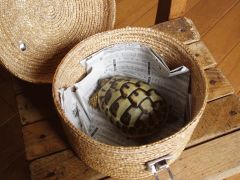 蓋を開けるとそこには・・・！！