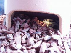 e382abe383a1e382b7e382a7e383abe382bfe383bcefbc921