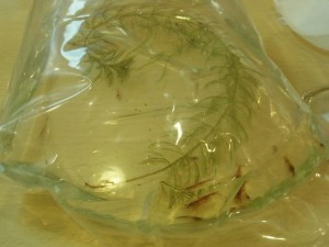 e383ace38383e38389e38393e383bcefbc911588356_4036954262