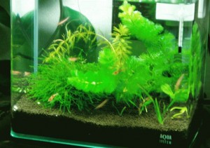 e383ace38383e38389e38393e383bcefbc921588356_3828624755