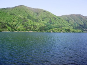 e5ae89e69b87e9878eefbc93