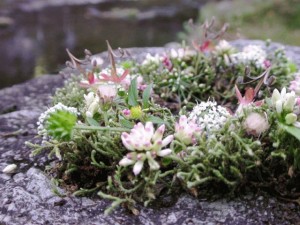 e88ab1e9818ae381b3efbc922